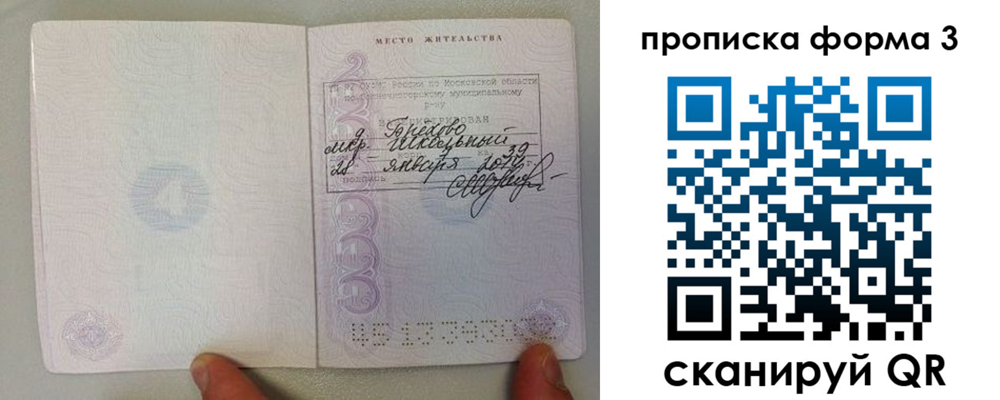 прописка гарантия в Павловске
